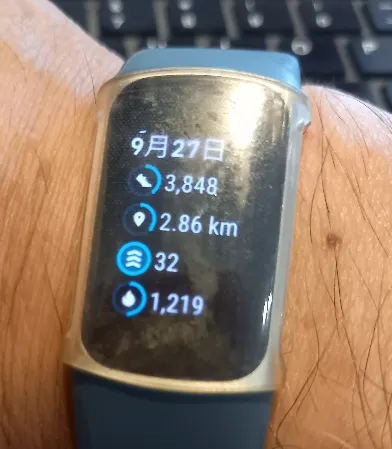 fitbit