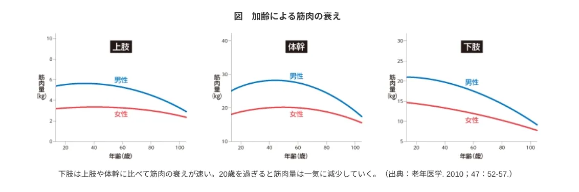 筋肉量が年齢で減っていく