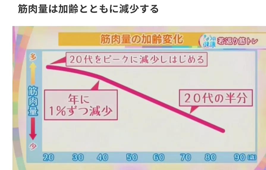 シニアの筋肉量は70歳で20歳の時の半分