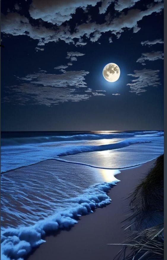 night