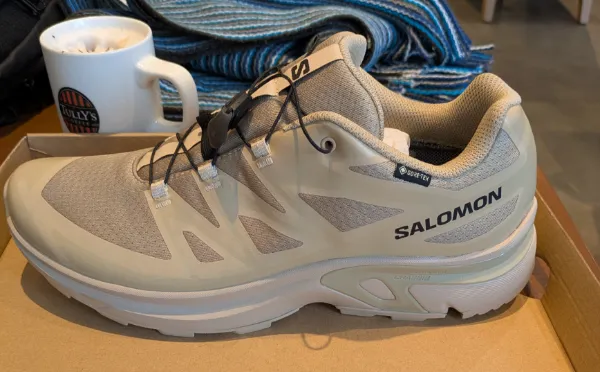 salomon XT GOTEX
