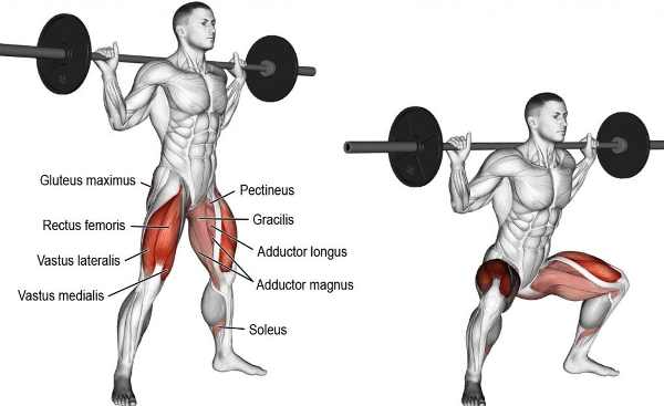 squat