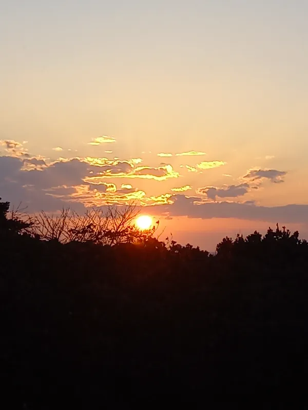 今宵のラウンジから見える夕陽