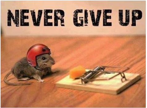 Never giveup